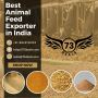 73 Deals- Best Animal Feed Exporter Company in India