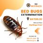 Bed Bugs Extermination Waterloo