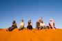 Experience the Best Abu Dhabi Sightseeing Tour Experience the Best Abu Dhabi Sightseeing Tour