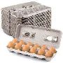 The Critical Role of Egg Packaging: An Evaluation by Poultry