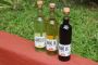 Goa’s Best Alcohol Goa’s Best Alcohol