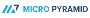 Salesforce CRM Development Company - MicroPyramid, USA 