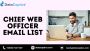 Buy Globally Targeted Chief Web Officer Email List