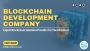 Top Blockchain Development Company in USA - Expert Solutions