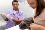 Al Barsha Veterinary Clinic - Expert Rabbit Veterinary Care