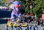 Join Alacarte Tours for the 2025 Roses Parade