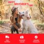  Mother's Day Offers for Your Pets on PetVetExpress eBay