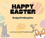 BudgetPetSupplies brings a Easter Sale on our Ebay.