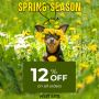 Spring Season Sale- Flat 12% Off on all Orders
