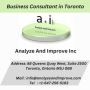 Leading Business Consultant in Toronto