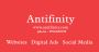 Antifinity Offers Website Development Services