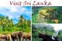 Sri Lanka Honeymoon Packages | Arcadia Vacations