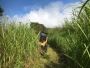 Responsible Forestry Land Clearing Services Responsible Forestry Land Clearing Services