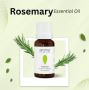 Revitalize Your Mind and Body with Aroma Treasures Rosemary 