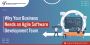 Why Your Business Needs an Agile Software Development Team