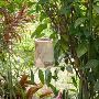 Bamboo Stand Feeder: Elevate Your Birds' Feeding Experience