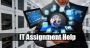 Best IT Assignment Help Services
