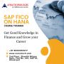 Avina Technologies- SAP training institute for SAP FICO, MM,