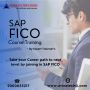 Call@9000055217-Avina Technologies-No:1 Best SAP FICO,MM,ABA