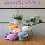 Rollie Crochet Kit - Avolotl