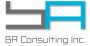 BA Consulting