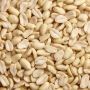 Manufacturer, Supplier, and Exporter of Blanched Peanuts 