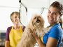 Grooming your dog became unmanageable for you? 