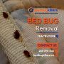 Bed Bug Removal Hamilton