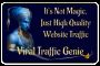  Viral Traffic Genie 