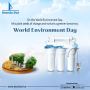 Celebrate World Environment Day with Brands.live
