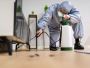 Pest Control in Pinellas Park Pest Control in Pinellas Park