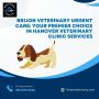 Brijon Veterinary Urgent Care: Your Premier Choice in Hanove