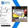 Top Content Marketing Agency in Florida - Budget Direct Ads