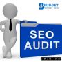Website Audit Services for Free from Budget Direct Ads Inc