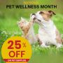 National Pet Wellness Month: 25% Off at BudgetVetCare 