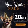 Celebrate New Year Flat 20% Off on Pet care at Budgetvetcare