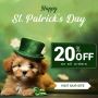 Budgetvetcare Sale for St. Patrick’s Day Live! Flat 20% OFF