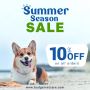 Summer Sale is ON! At Budgetvetcare Save Flat 10% Now!