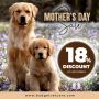 Sale! Don’t Forget Pet Mom's Day Special Flat 18% OFF On All