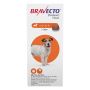 Budgetvetcare Offers Bravecto For Small Dogs at Lowest Price