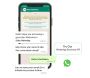 WhatsApp Business API Solution for Your Business