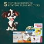 5 Top Treatments to Control Fleas and Ticks