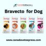 Buy Bravecto For Large Dogs 20-40kg (Blue) Online - canadave