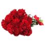 Blooming Passion: Small-Size Red Carnation Bouquet
