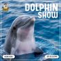 Dolphin Show Dubai: A Spectacular Aquatic Experience