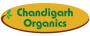 Is Organic Food Healthy or Not? Where Can I Buy Organic Food