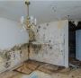 Top-Notch Water Damage Repair Company in Pasadena