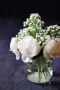 Condolence Flowers for Husband: Convey Your Deepest Sympathy