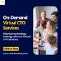 On-demand Virtual CTO Services early age Startup
