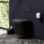 Buy Wall-hung toilets online With UK's Leading Online Bathro